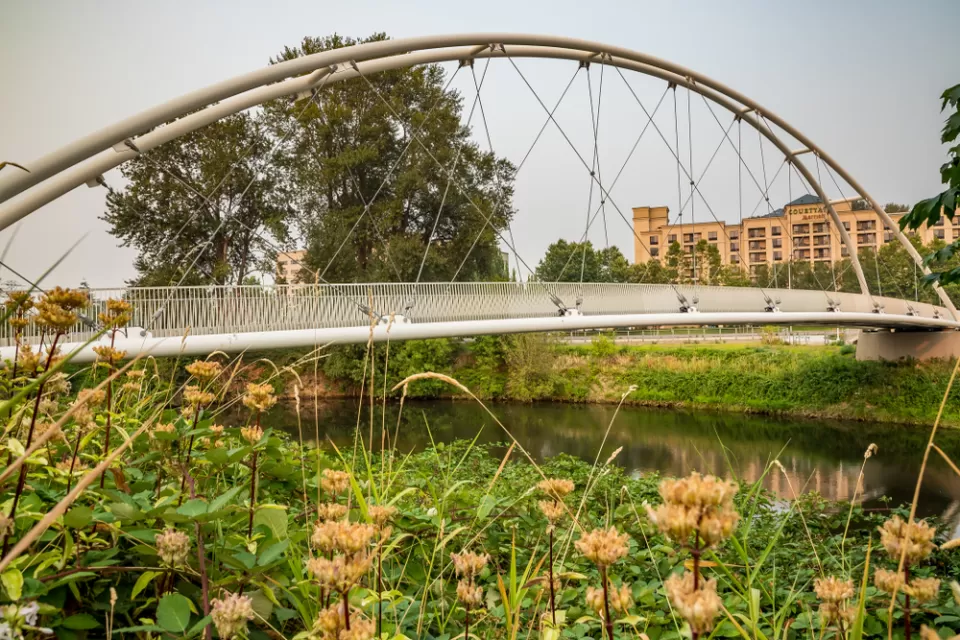View of pedestrian suspension bridge over waterway surrounded by green grass with small apartment buildings in background